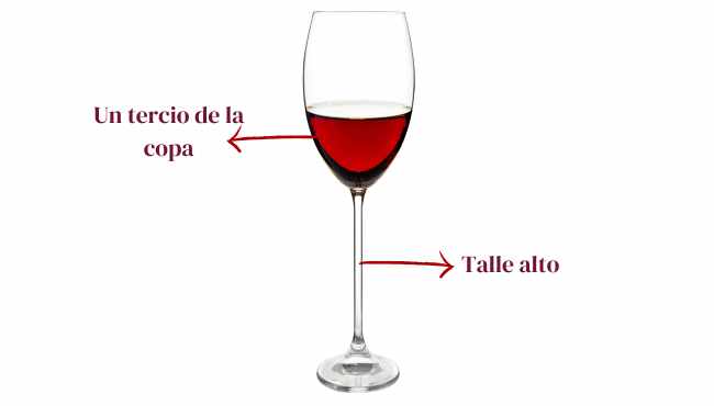 Tipos de copas de vino en verano: deben ser de talle alto y estar llenas solo un tercio de su capacidad