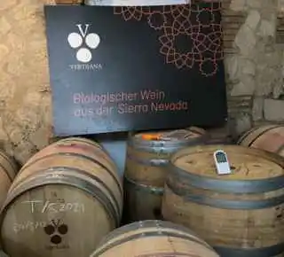 Barricas de vino ecológico en Bodegas Vertijana
