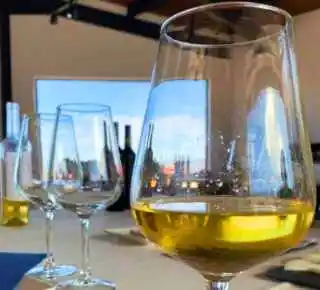 Cata guiada de vino blanco ecológico en Bodegas Vertijana