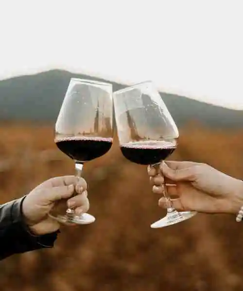 Vino tinto ecológico de edición limitada
