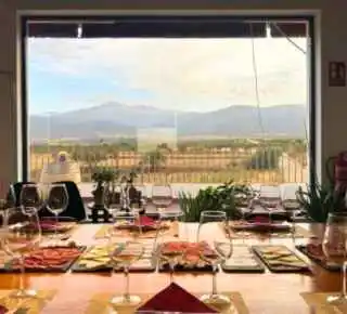 Experiencia de enoturismo en Bodegas Vertijana