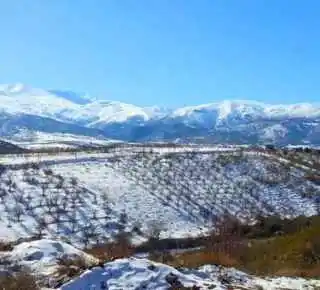 Viñedos ecológicos nevados en Bodegas Vertijana